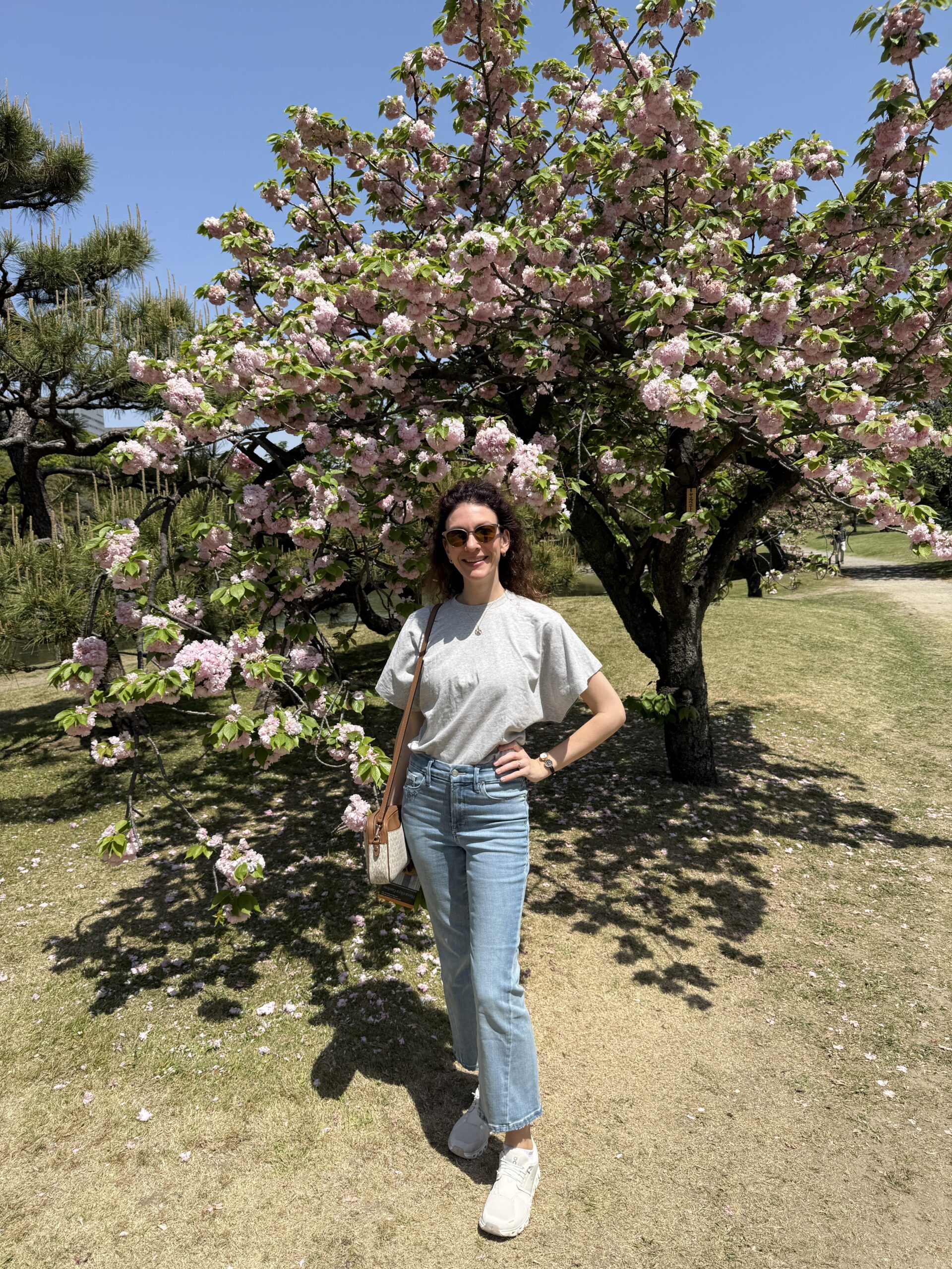 DrSydInJapan_CherryBlossoms